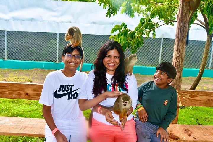 Puerto Plata Monkey Home Tour by Minivan