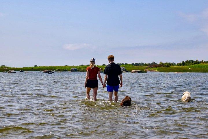 Wild Swimming Estonia Four Waters Experience Day Trip