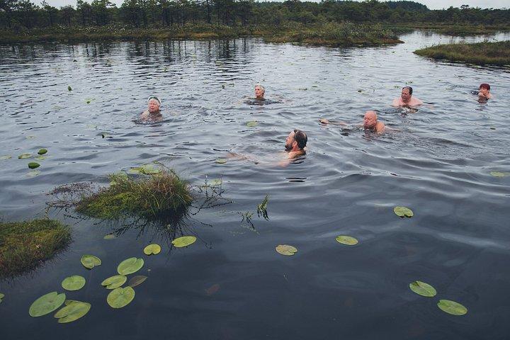 Wild Swimming Estonia Four Waters Experience Day Trip