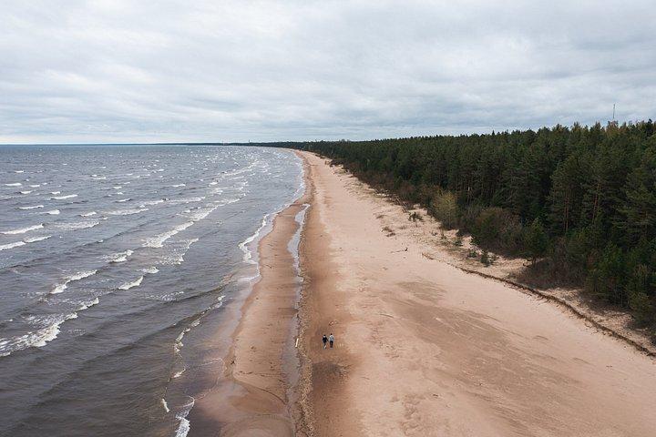 Wild Swimming Estonia Four Waters Experience Day Trip