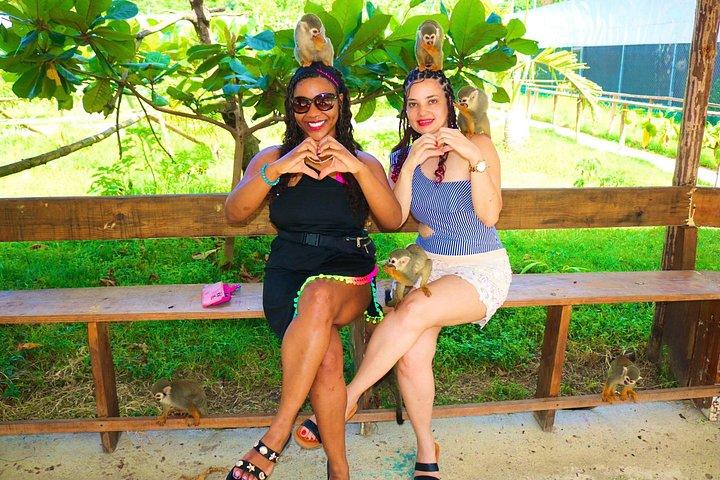 Puerto Plata Monkey Home Tour by Minivan