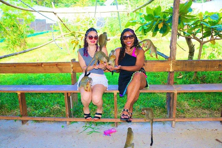 Puerto Plata Monkey Home Tour by Minivan