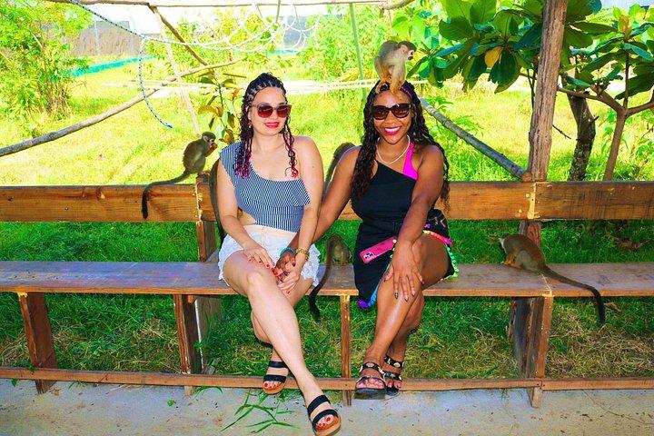 Puerto Plata Monkey Home Tour by Minivan