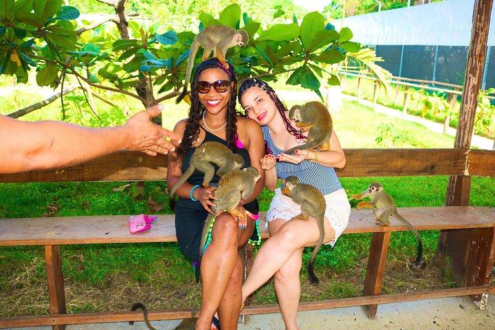 Puerto Plata Monkey Home Tour by Minivan
