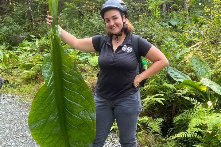 Juneau Alpine Segway Wilderness Trail Adventure
