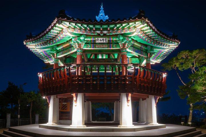 Visita privada de Seul Night Skyline e Han River Lights