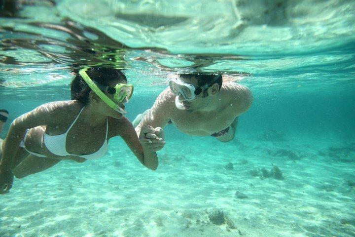 Crociera con snorkeling e delfini SeaQuest a Destin