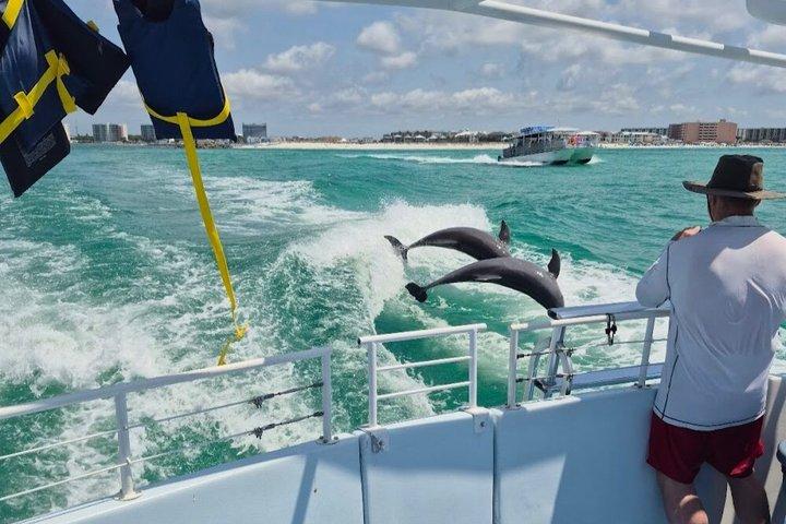 Crociera con snorkeling e delfini SeaQuest a Destin