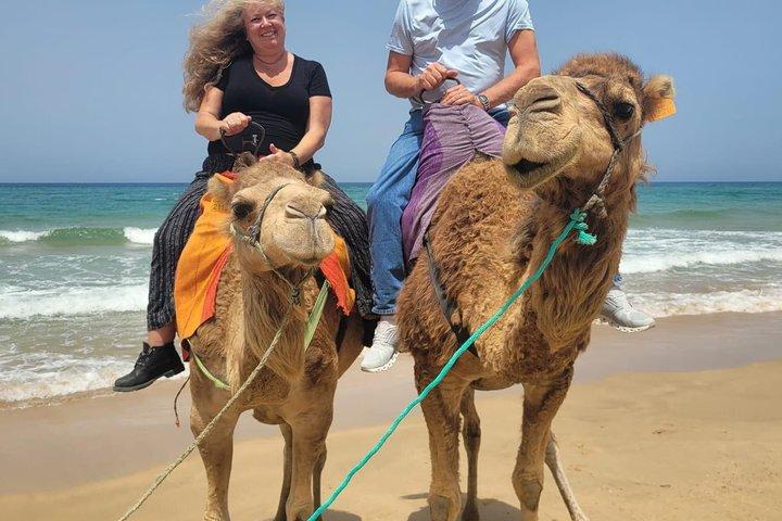 Gita privata di un giorno a Tangeri da Tarifa: giro in cammello e pranzo marocchino