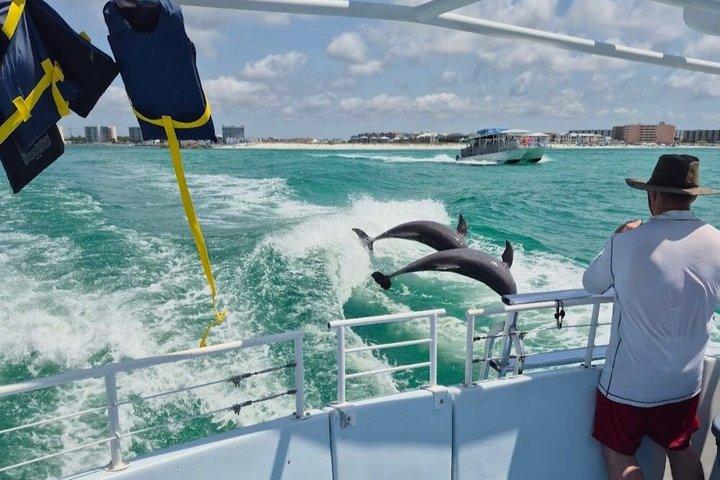 SeaQuest Tagesausflug in Destin