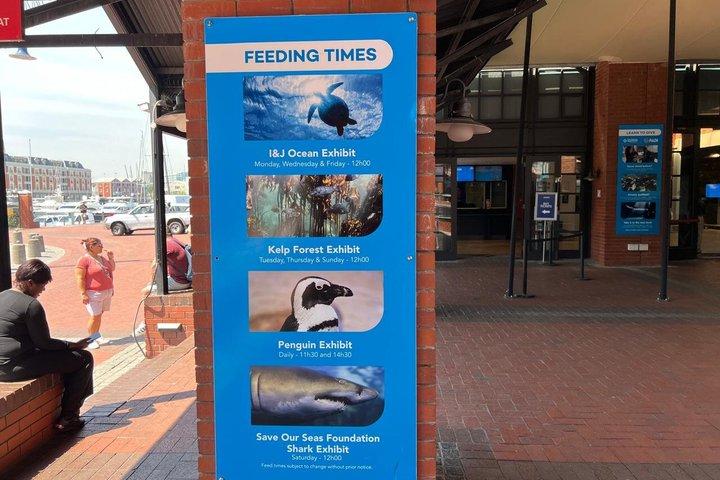 Tour di un giorno a Città del Capo: Robben Island e Two Oceans Aquarium