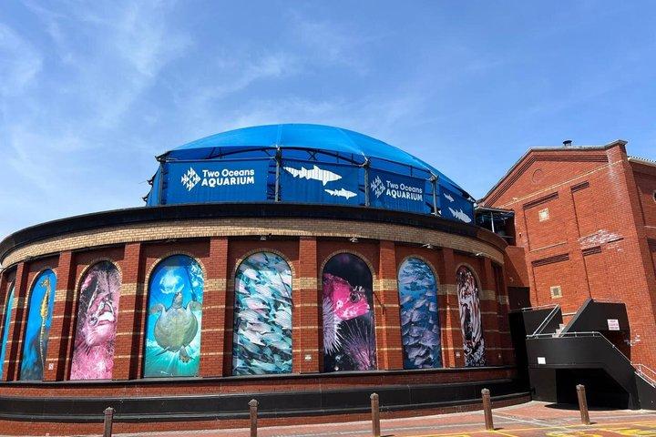Tour di un giorno a Città del Capo: Robben Island e Two Oceans Aquarium