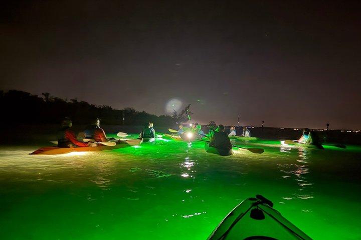 シャーキーズグラスボトムカヤックナイトツアー（魚の餌付け付き）