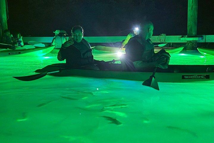 シャーキーズグラスボトムカヤックナイトツアー（魚の餌付け付き）