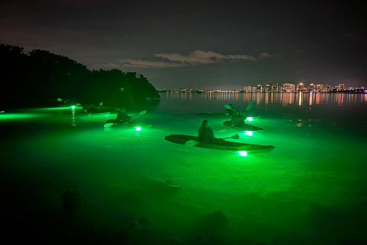 シャーキーズグラスボトムカヤックナイトツアー（魚の餌付け付き）