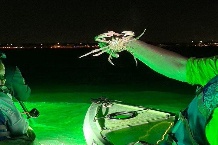 シャーキーズグラスボトムカヤックナイトツアー（魚の餌付け付き）