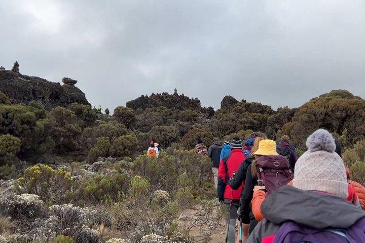 Hoteller i nærheden af Kilimanjaro One Day Hike Tour
