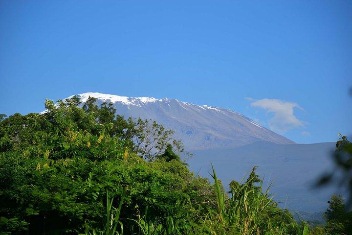 Hoteller i nærheden af Kilimanjaro One Day Hike Tour