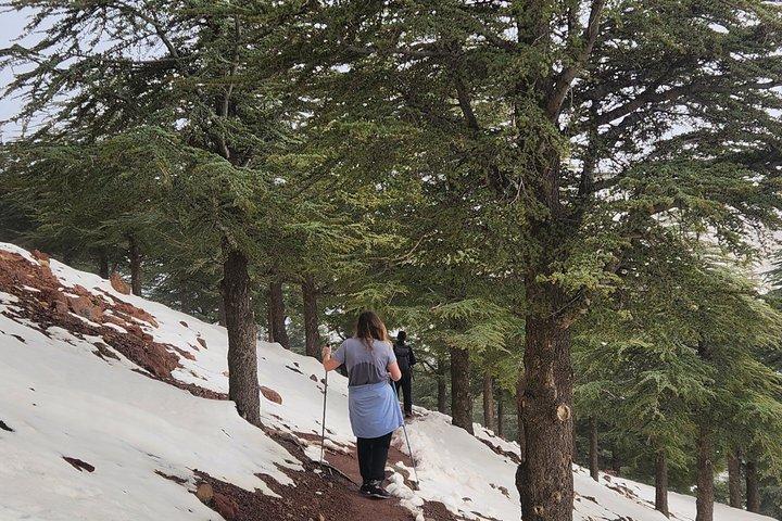 Dagstur til Taoudja-bjerget i High Atlas
