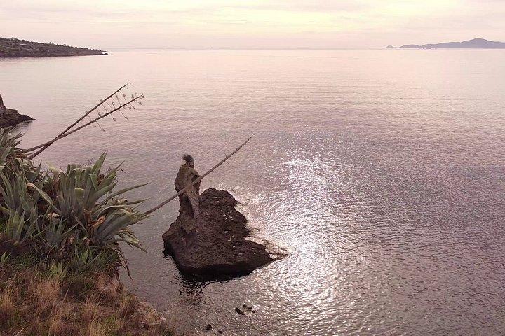 アイギナ古代オリーブ林エレオナスとペルディカ村ツアー