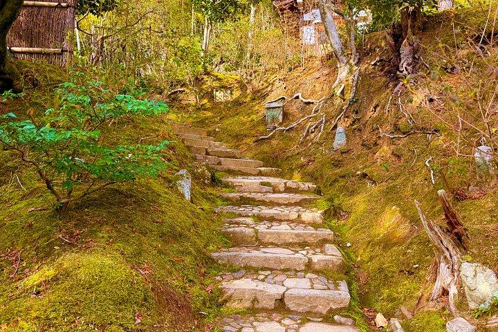 人ごみの向こうの嵐山 竹林と隠れた小道