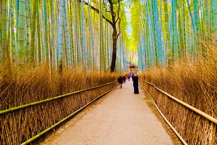 Arashiyama Beyond the Crowds: Bamboo Grove e caminhos escondidos