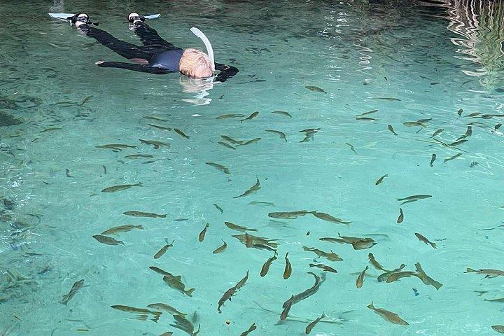 レインボーリバーでのクリアカヤックエコツアーとシュノーケリング