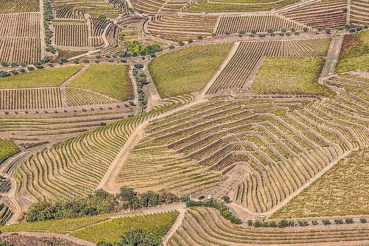 Douro Valley Private Day Trip from Lisbon: Vineyards & River View