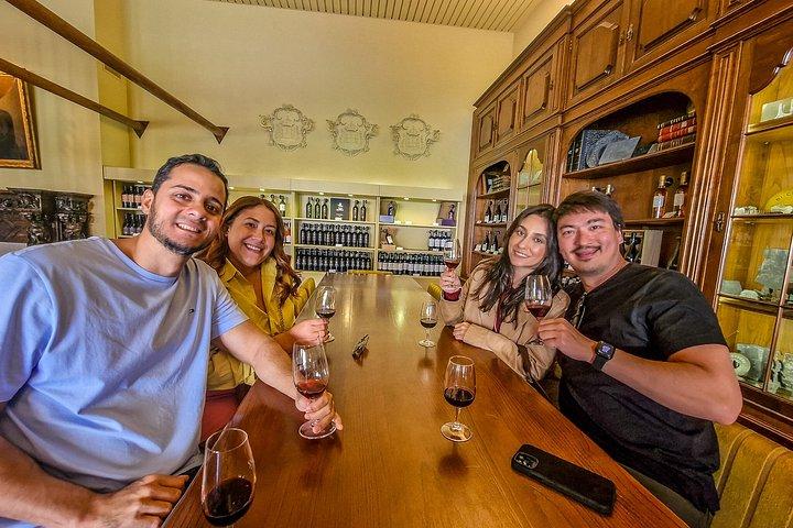 Douro Valley Private Day Trip from Lisbon: Vineyards & River View