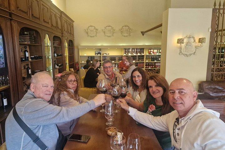 Douro Valley Private Day Trip from Lisbon: Vineyards & River View