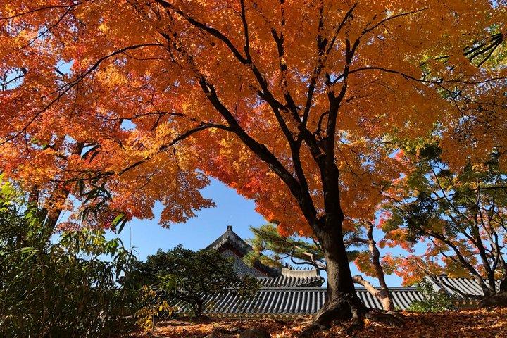 Seoul Private Shore udflugt fra Incheon havn med lokal guide