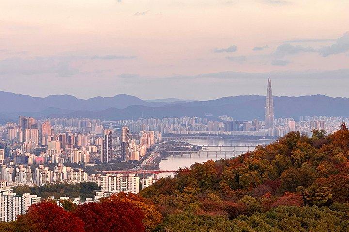Seoul Private Shore udflugt fra Incheon havn med lokal guide