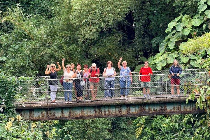 Hilo Highlights & Akaka Falls Kostüm Privat Tour