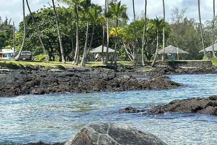 Hilo Highlights & Akaka Falls Kostüm Privat Tour