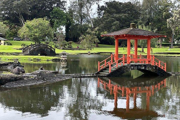 Hilo Highlights & Akaka Falls Kostüm Privat Tour