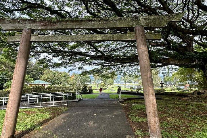 Hilo Highlights & Akaka Falls Kostüm Privat Tour