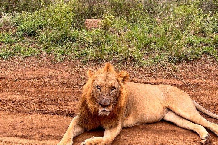 3 dagen en 2 nachten privé Maasai Mara Safari