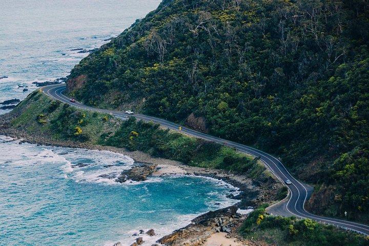 グレート・オーシャン・ロード日帰りツアー12使徒湖アード峡谷メルボーン