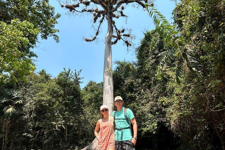 Tikal solnedgångstur från Flores