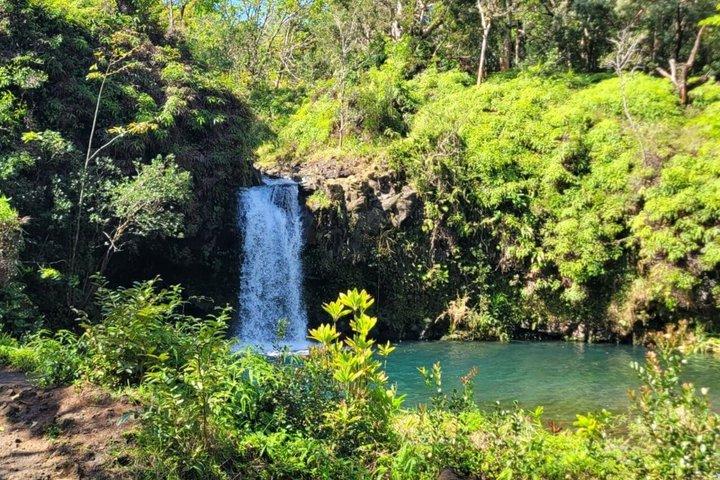 マウイ島の滝、ビーチ、ハナの終日小グループツアー