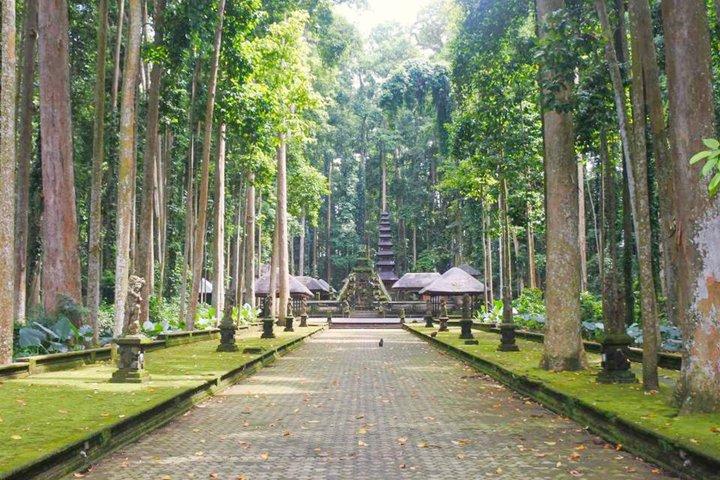 Bali Private Car Charter avec le meilleur chauffeur privé Bali pour le tour
