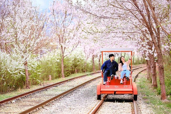 Séoul Eden Cherry Blossom, Nami Island, Alpaga et vélo sur rail