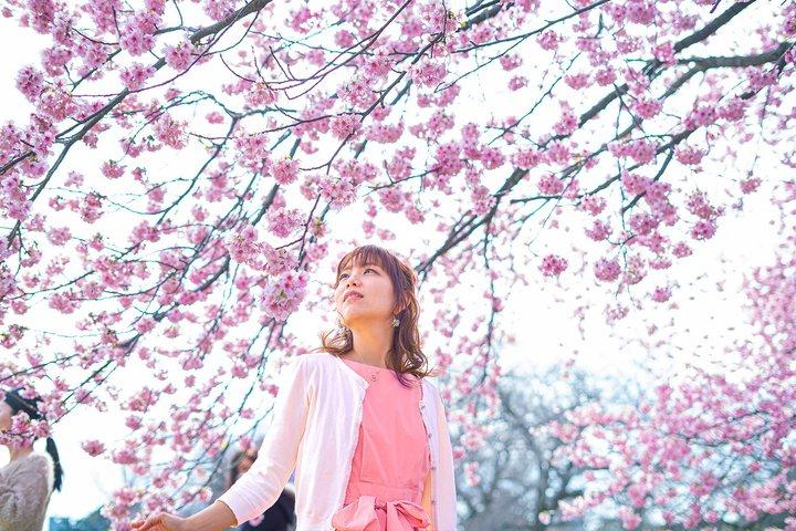 Eden Cherry Blossom e Nami Island Tour da Seul