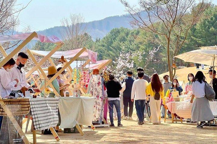 Eden Cherry Blossom e Nami Island Tour da Seul