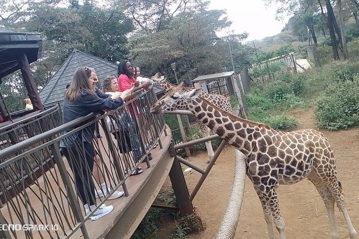 Giraffe Centre Kazuri Beads Maasai Collection Shopping Utflykt