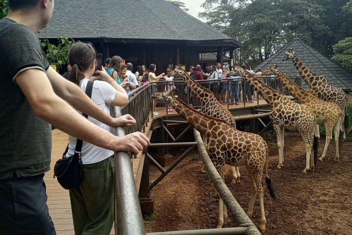 Giraffe Centre Kazuri Beads Maasai Collection Shopping Utflykt