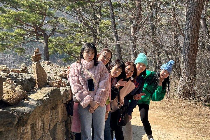 Seoul Private Shore udflugt fra Incheon havn med lokal guide