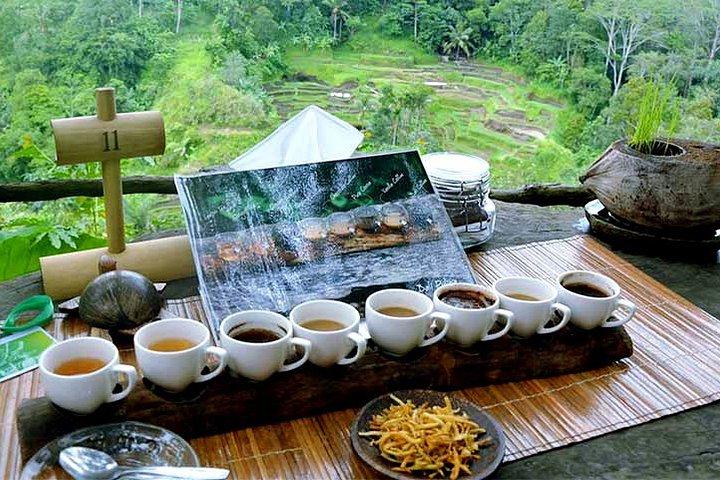 ウブドのベストスポット：滝、棚田、モンキーフォレスト＆寺院