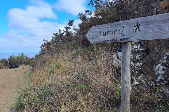 Transfer naar Vereda do Larano - Zelfstandige wandeling
