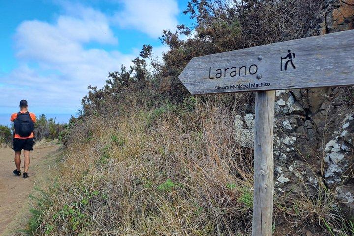 Transfer naar Vereda do Larano - Zelfstandige wandeling